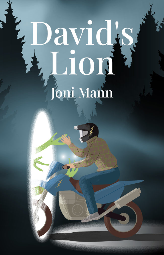 The front cover of David's Lion by Joni Mann