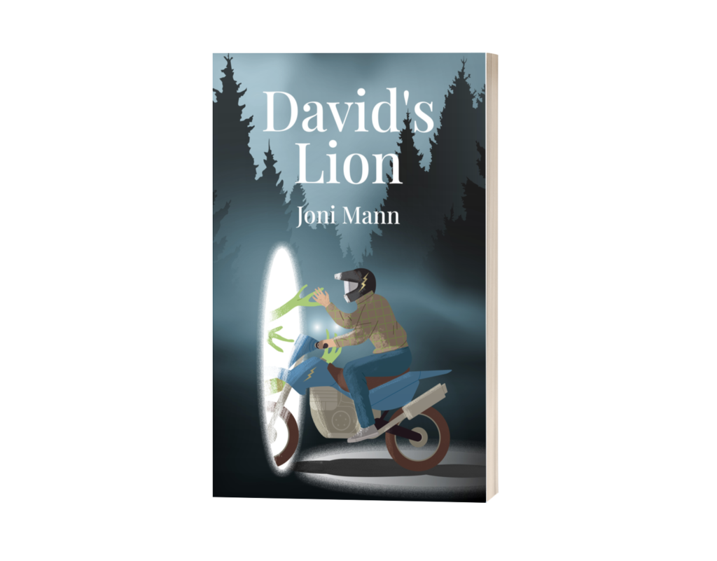 Mock book cover of David's Lion